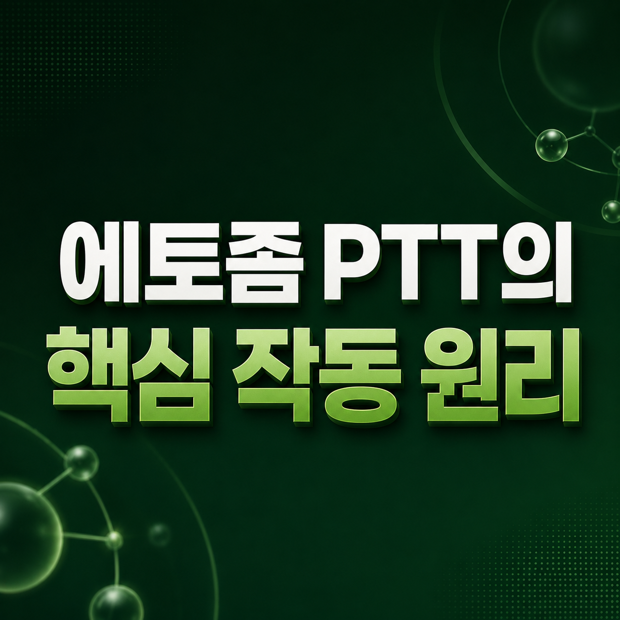 에토좀 PTT 모공 및 피지선 침투 원리