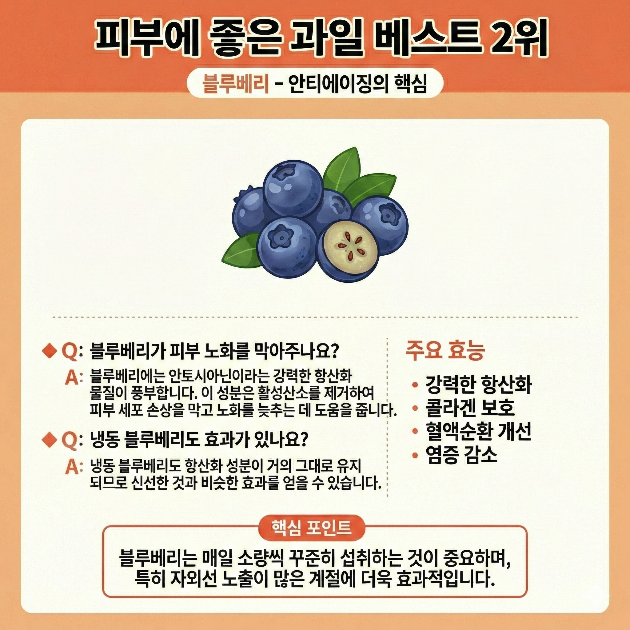 피부에좋은과일,피부,과일,블루베리